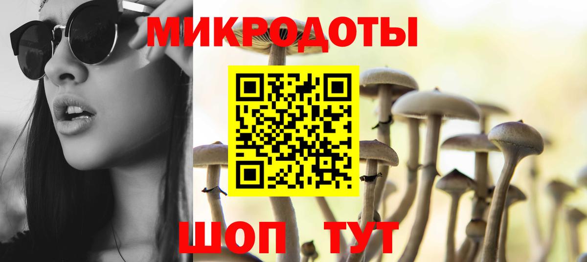 Галлюциногенные грибы Cubensis  Псилоцибиновые грибы Cubensis  Вход с VPN  Кохма 